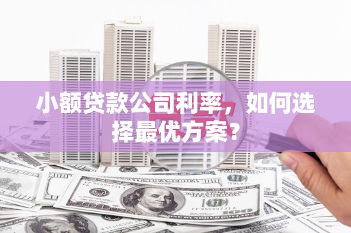 和平小额贷款公司利率，如何选择最优方案？