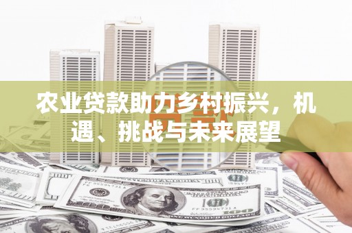 和平农业贷款助力乡村振兴，机遇、挑战与未来展望