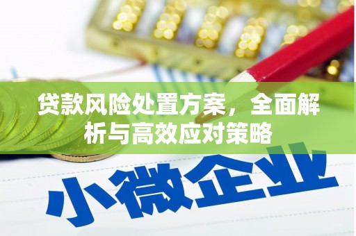 和平贷款风险处置方案，全面解析与高效应对策略