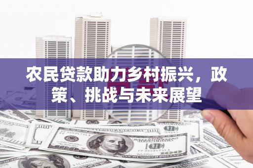 和平农民贷款助力乡村振兴，政策、挑战与未来展望