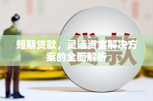 和平短期贷款，灵活资金解决方案的全面解析