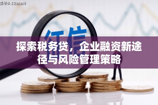 和平探索税务贷，企业融资新途径与风险管理策略