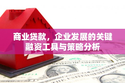 和平商业贷款，企业发展的关键融资工具与策略分析