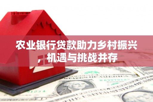 和平农业银行贷款助力乡村振兴，机遇与挑战并存