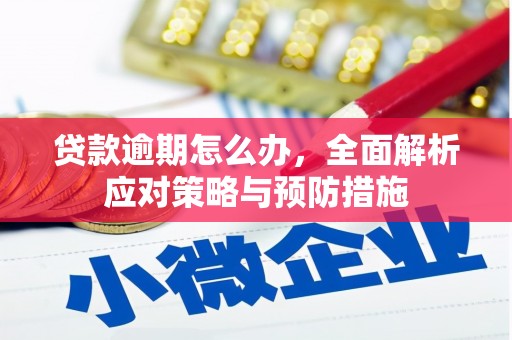 和平贷款逾期怎么办，全面解析应对策略与预防措施