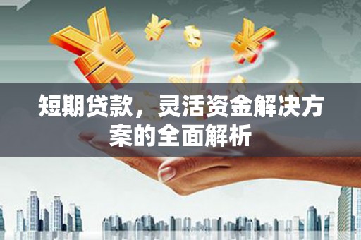 和平短期贷款，灵活资金解决方案的全面解析