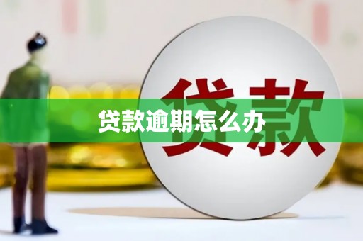 和平贷款逾期怎么办