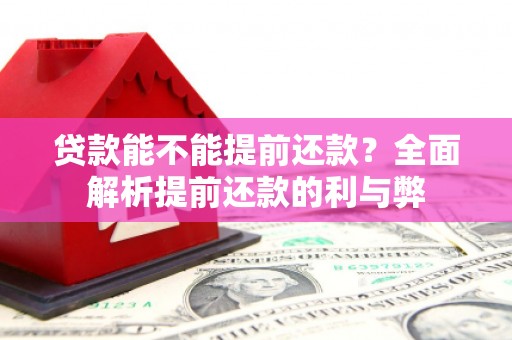 和平贷款能不能提前还款？全面解析提前还款的利与弊