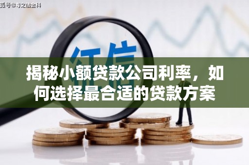 和平揭秘小额贷款公司利率，如何选择最合适的贷款方案