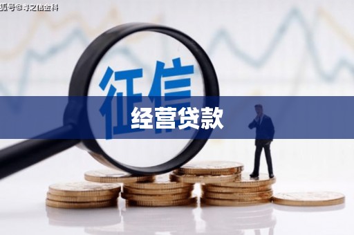 和平经营贷款