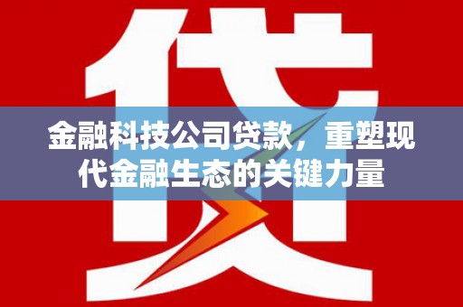 和平金融科技公司贷款，重塑现代金融生态的关键力量