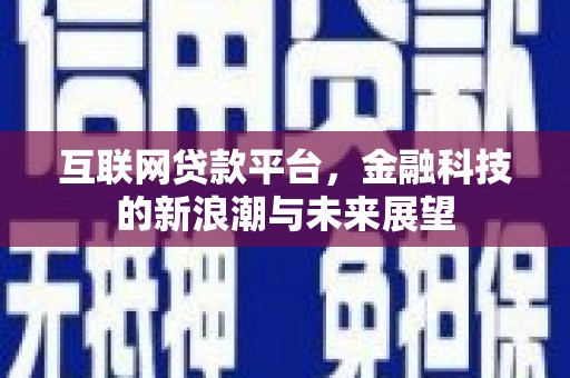 和平互联网贷款平台，金融科技的新浪潮与未来展望