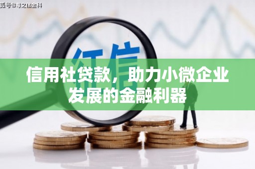 和平信用社贷款，助力小微企业发展的金融利器