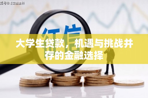 和平大学生贷款，机遇与挑战并存的金融选择