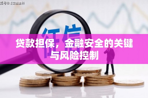 和平贷款担保，金融安全的关键与风险控制
