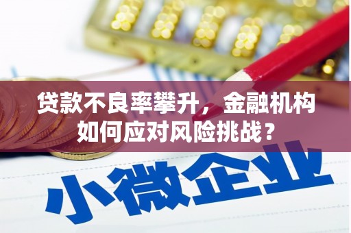 和平贷款不良率攀升，金融机构如何应对风险挑战？