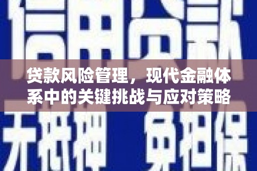 和平贷款风险管理，现代金融体系中的关键挑战与应对策略