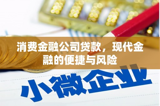 和平消费金融公司贷款，现代金融的便捷与风险