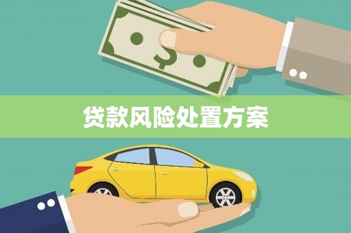 和平贷款风险处置方案