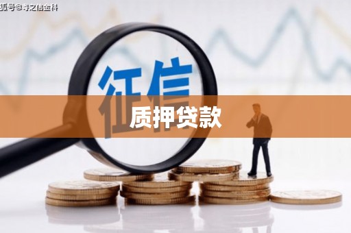 和平质押贷款