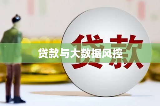 和平贷款与大数据风控