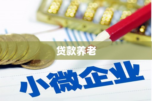 和平贷款养老