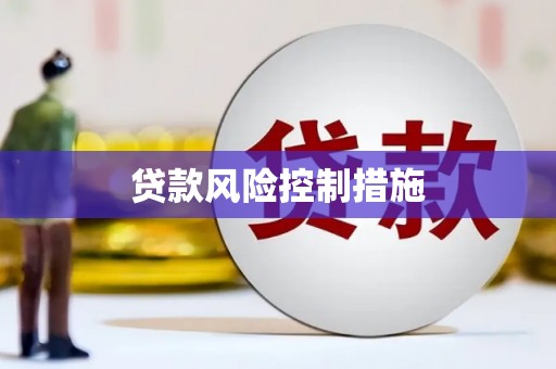 和平贷款风险控制措施