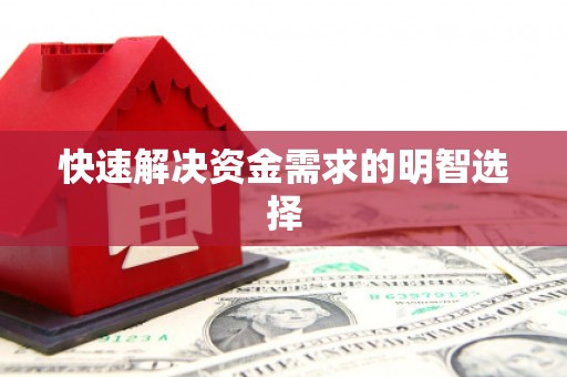 和平快速解决资金需求的明智选择