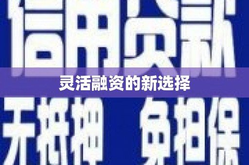 和平灵活融资的新选择