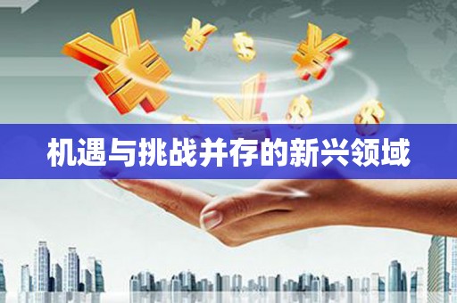 和平机遇与挑战并存的新兴领域
