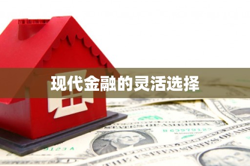 和平现代金融的灵活选择