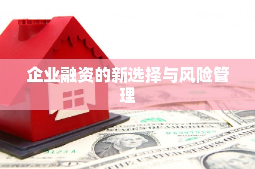 和平企业融资的新选择与风险管理