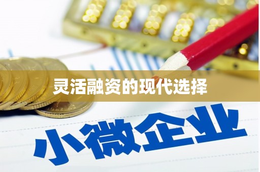 和平灵活融资的现代选择