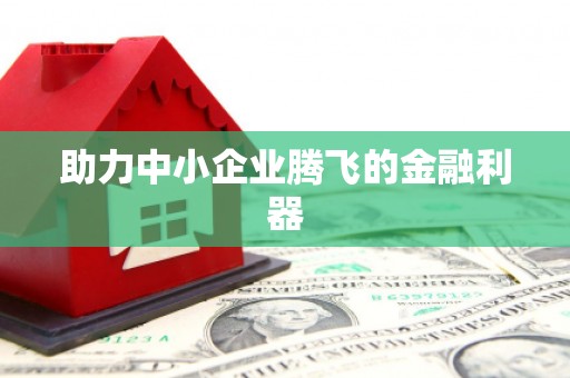 和平助力中小企业腾飞的金融利器